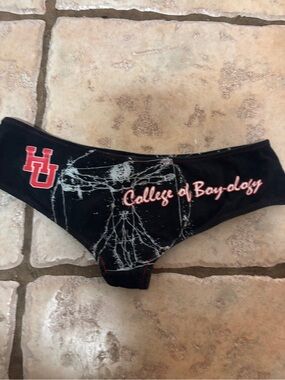 Y2K vintage hustler university College of Boy-ology booty shorts panty black med